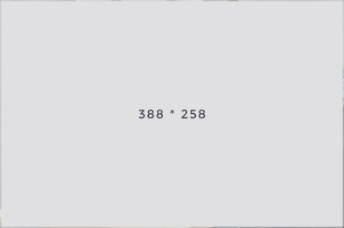 Ehliyet ve direksiyon sınavı bilgilendirme